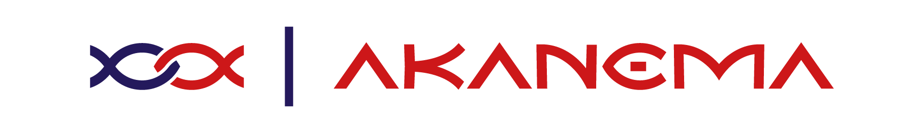 Logo Akanema - Expert en dynamiques humaines